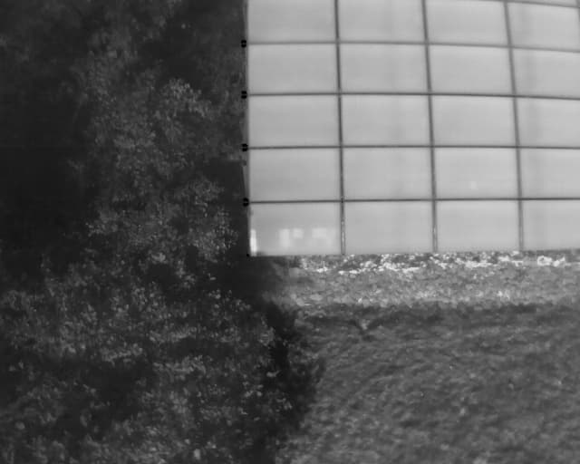 Thermal image 1