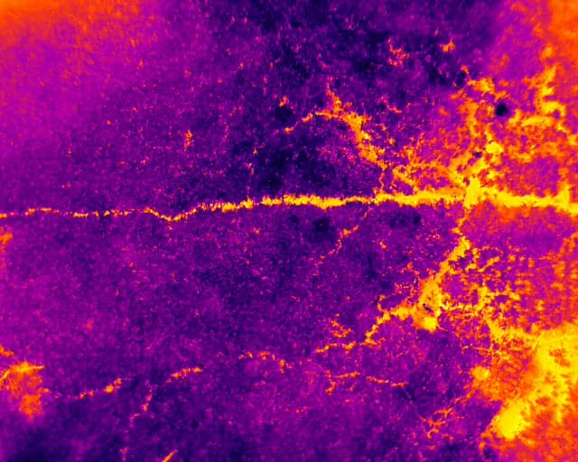 WetLands mapping